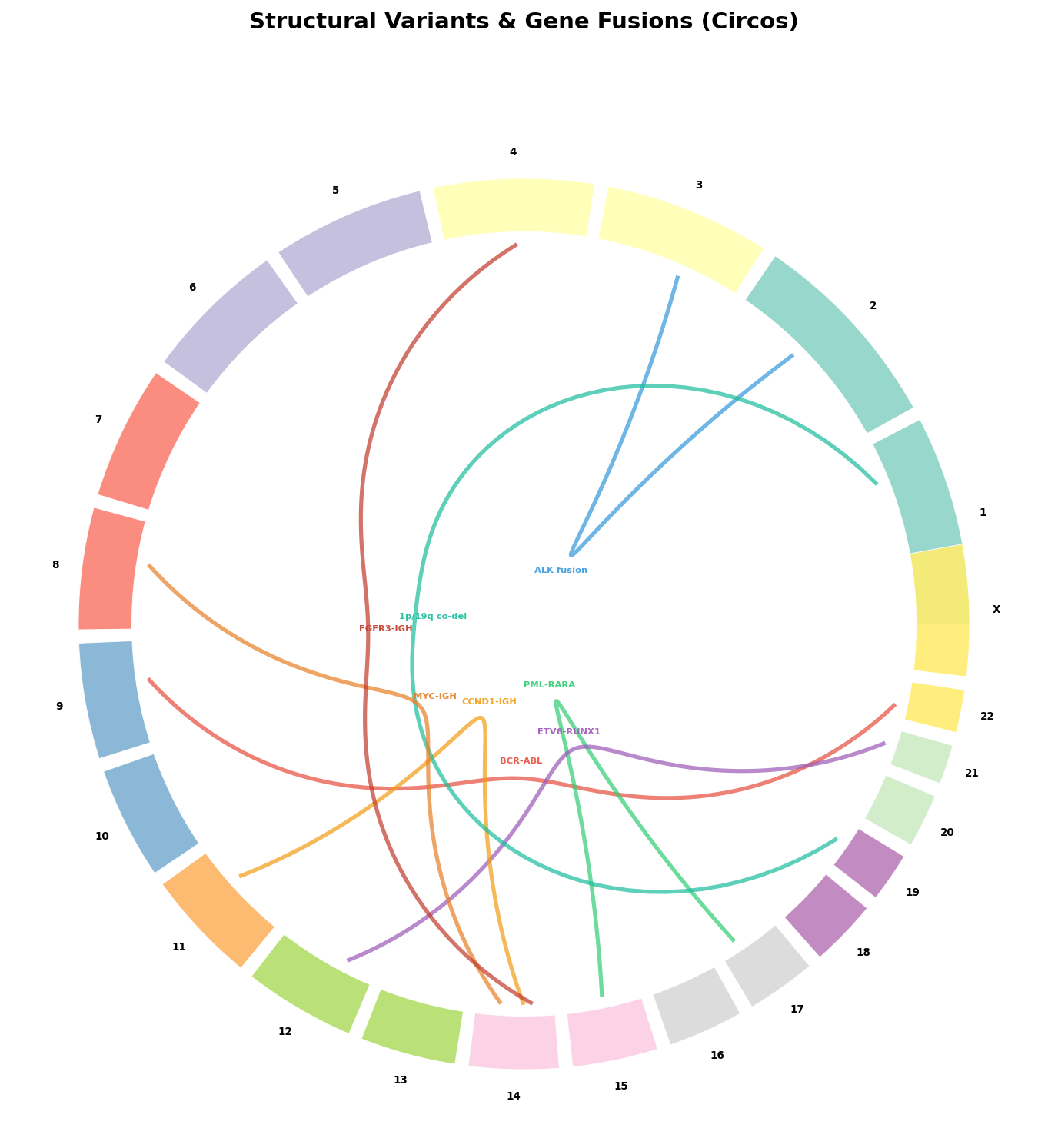 Strukturvarianten und Genfusionen im Circos