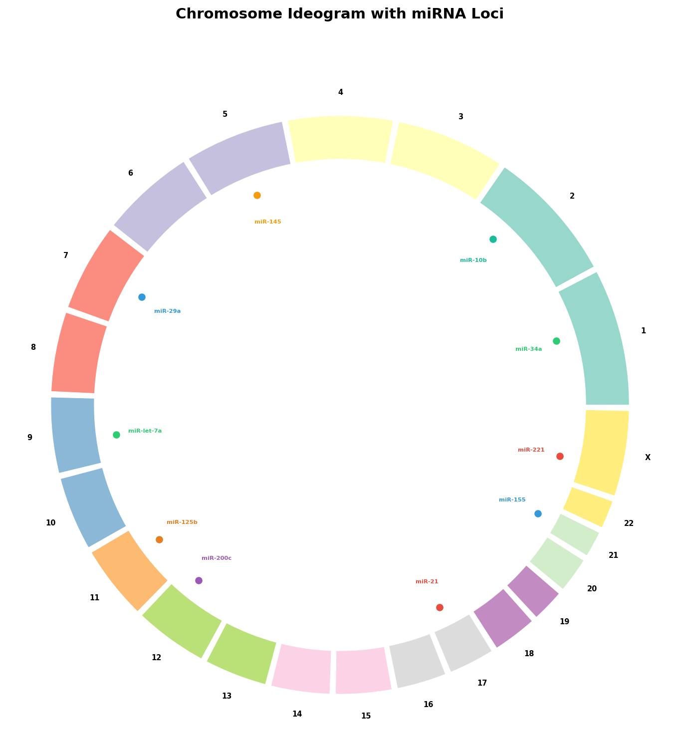 Chromosom-Ideogramm mit miRNA-Loci
