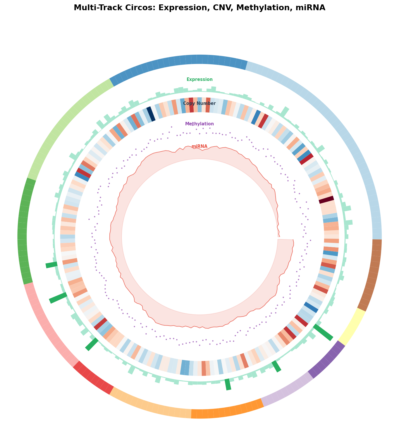Multi-Track Circos: Expression, CNV, Methylierung, miRNA