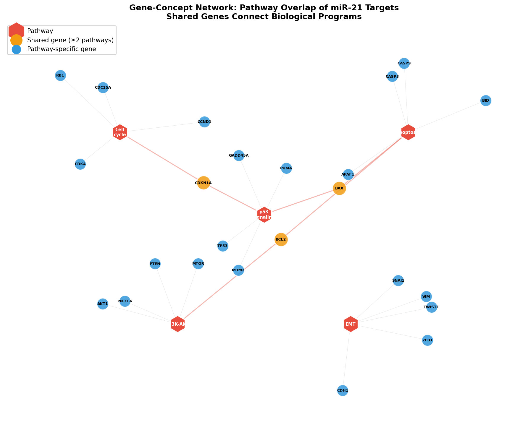 Gene-Concept Network: Pathway-Überlappung