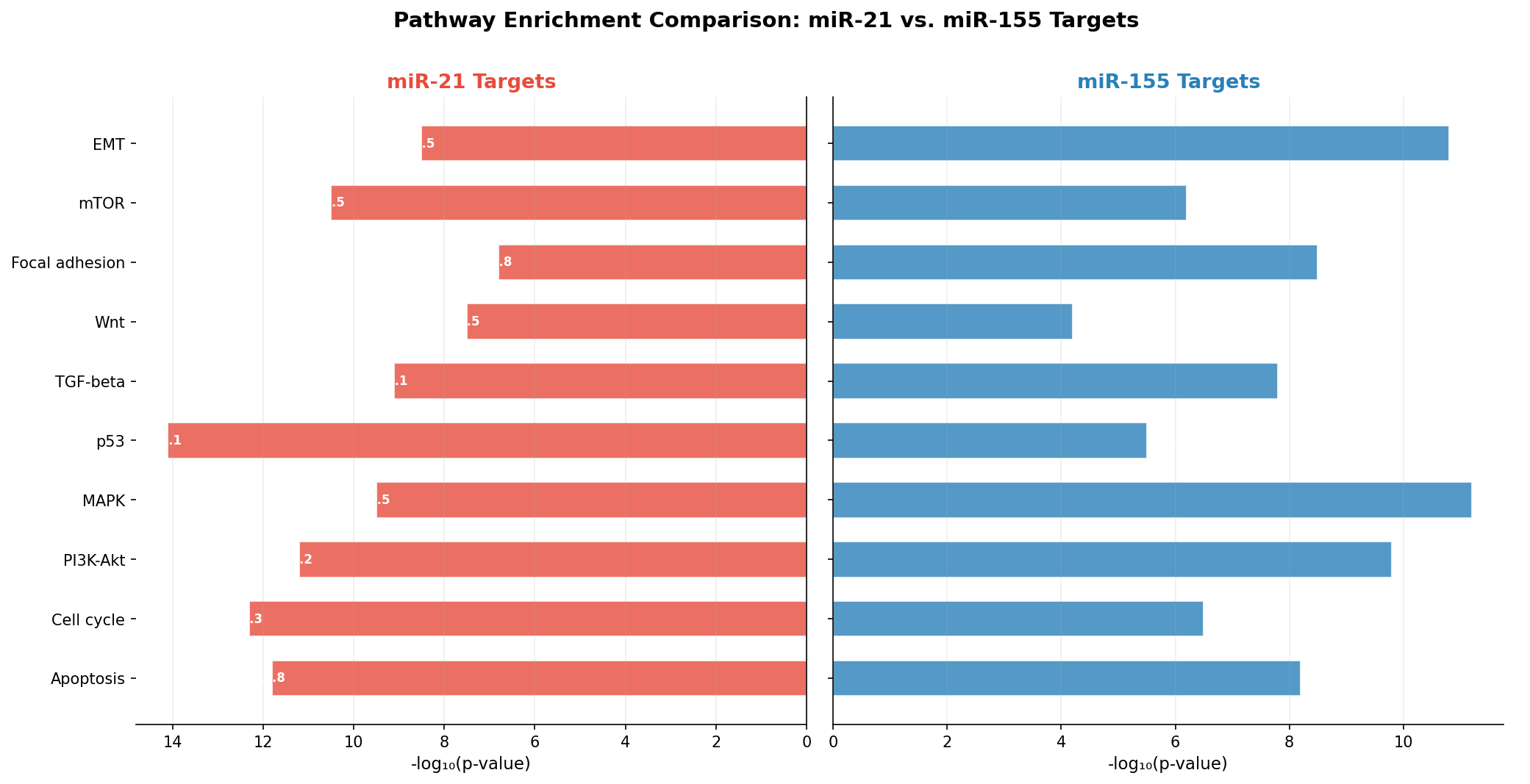 Pathway-Enrichment-Vergleich: miR-21 vs. miR-155