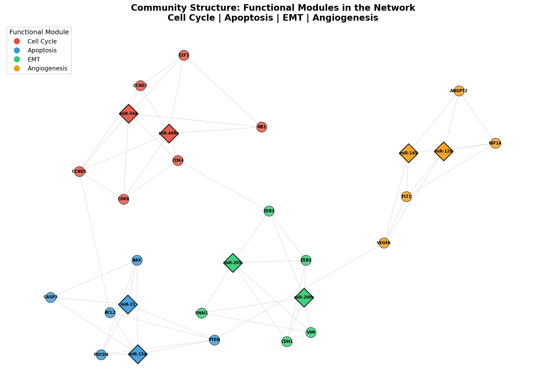 Community-Struktur: Funktionelle Module im Netzwerk