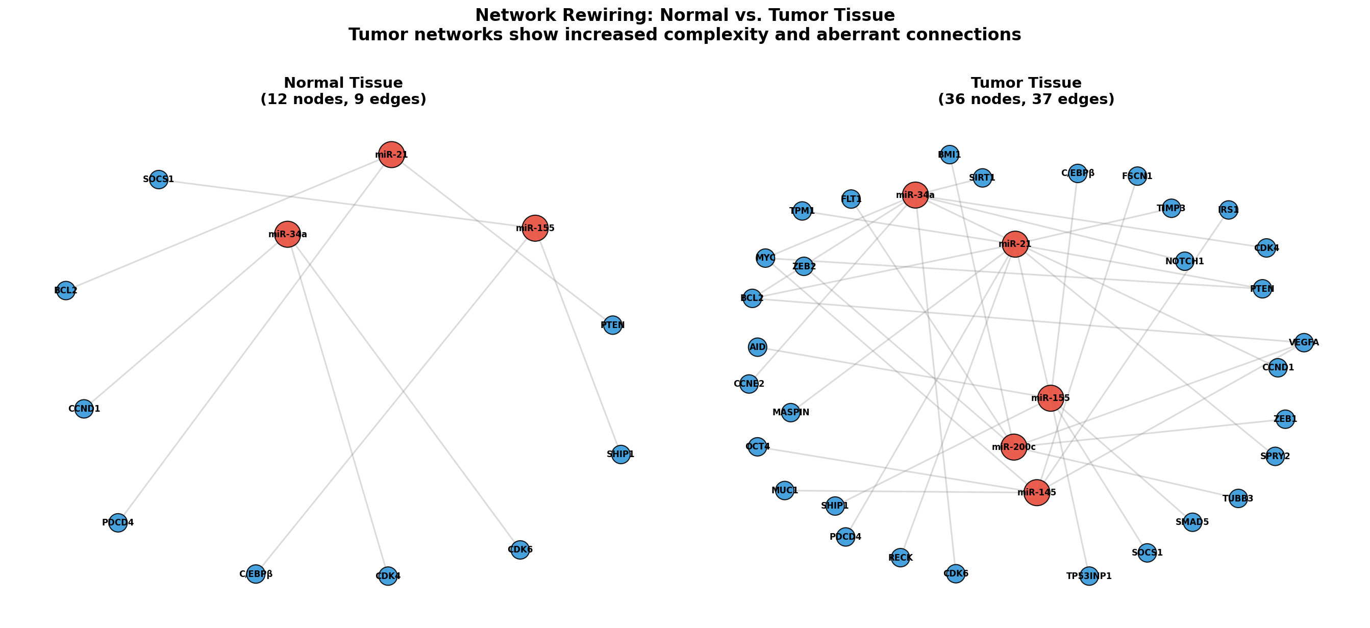 Netzwerkvergleich: Normal vs. Tumor