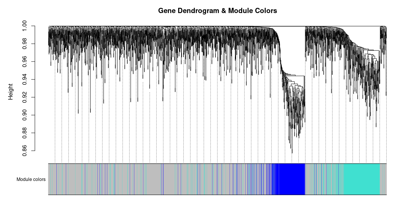 WGCNA Module-Trait-Korrelationsmatrix f&uuml;r kolorektales Karzinom